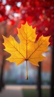 Vibrant yellow maple leaf against a blurred red backdrop. photo