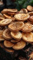 A close-up of dried mushrooms on a wooden surface. photo