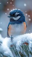 A colorful bird perched in a snowy landscape. photo