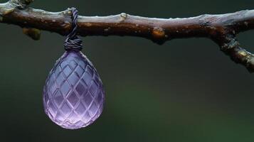 A purple glass ornament hanging from a branch. photo