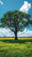 A solitary tree in a vibrant green field. photo