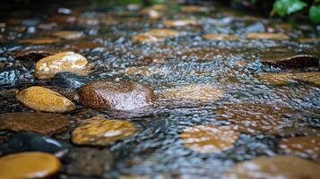 A serene stream with smooth, colorful pebbles. photo