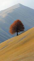 A solitary tree on a golden hillside with mountains. photo