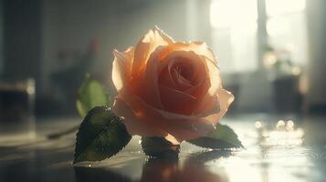A soft peach rose resting on a reflective surface. photo