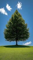 A solitary tree on a grassy hill under a clear blue sky. no fog, generated photo