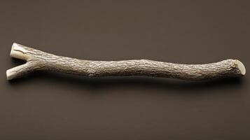 A natural stick with a textured surface. photo