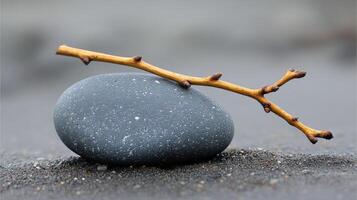 A smooth stone with a twig resting on it. photo