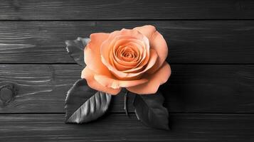 A peach rose on a dark wooden background. photo