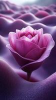 A pink rose amidst soft, wavy textures. photo