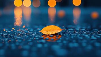A solitary leaf on a wet surface with bokeh lights. photo