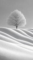 A solitary tree atop snowy hills in monochrome. photo