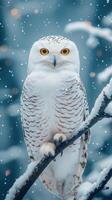 A snowy owl perched on a branch in winter. photo