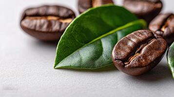 Coffee beans and leaves on a light surface. photo