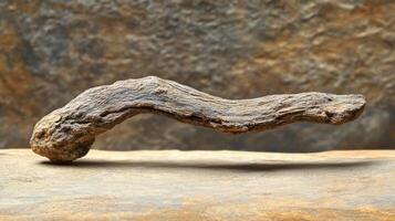 A twisted, weathered piece of driftwood. photo