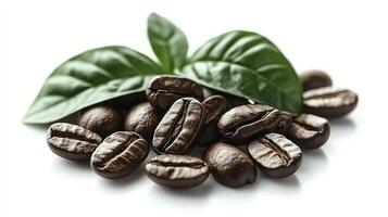 Coffee beans with green leaves for freshness. isolated photo