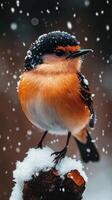 A vibrant bird perched in a snowy landscape. photo