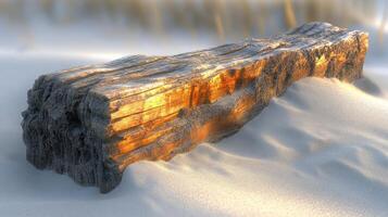 A weathered log resting on sandy terrain. photo