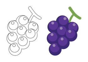 Simple illustration of grapes, perfect for children's books, educational materials, or healthy eating campaigns. Includes both a colored and outline version. vector