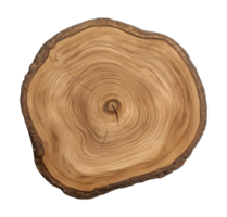 Detailed cross-section of a tree trunk with concentric growth rings, isolated on transparent background png