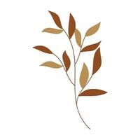 Collection of flat botanical illustrations featuring leave, and small flower vector