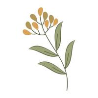 Collection of flat botanical illustrations featuring leave and small flowers vector