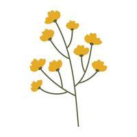 Set of flat botanical elements with colorful flowers, berries, and leaves Flat vector