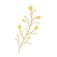 Simple flat illustrations of various wildflower, and botanical stems. vector