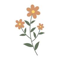 Simple flat illustration of various wildflower and botanical stems. vector