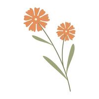 Collection of flat botanical illustrations featuring leaves and small flower vector