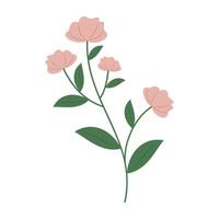 Set of flat botanical element with colorful flowers, berries, and leaves. vector
