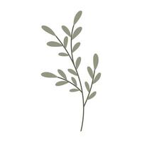 Collection of flat botanical illustrations featuring leave and small flowers. vector