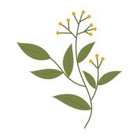 Flat floral and leaf with soft colors and simple shapes vector