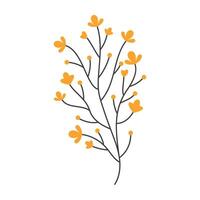 Flat botanical elements with colorful flowers, berries, and leave vector
