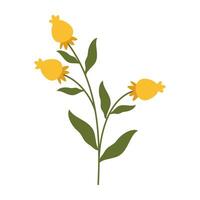 Simple flat illustrations of various wildflower and botanical stem vector