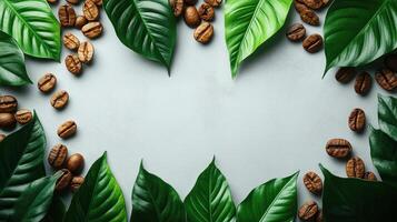 Coffee beans surrounded by lush green leaves frame photo