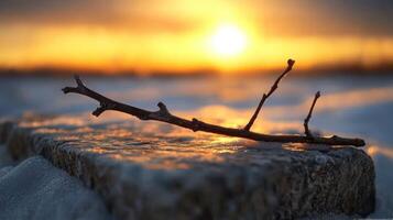 A stick on a snowy surface at sunset. photo