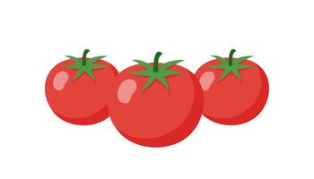 Three tomatoes on a white background vector