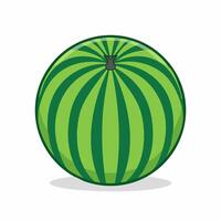 A watermelon is shown in a flat style vector