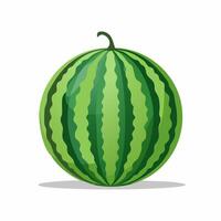Watermelon illustration isolated on white background vector