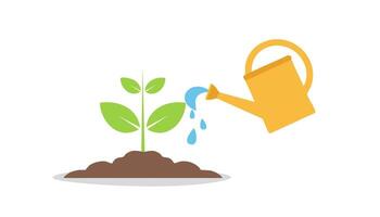 Watering plant with watering can and watering can with water vector