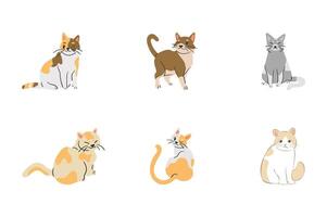 Collection of Playful Cats A delightful array of six illustrated cats showcases a variety of breeds and poses, creating a sense of joy and charm vector