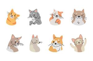 Charming Cat Compilation A delightful assortment of cat portraits, each showcasing a unique expression These illustrations captures playful kittens with their individual personalities vector
