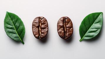 Coffee beans and leaves arranged aesthetically. photo