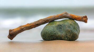 A stick resting on a green rock by the shore. photo