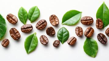 Coffee beans and leaves arranged artistically. cool shot photo