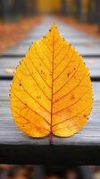 Vibrant yellow leaf on a wooden pathway. photo
