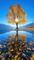 A vibrant autumn tree reflecting in calm water. photo