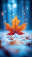 A vibrant autumn leaf against a snowy backdrop. photo