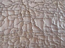 Cracked Leather Texture Close-up. A close-up of cracked leather surface, showing intricate patterns. photo