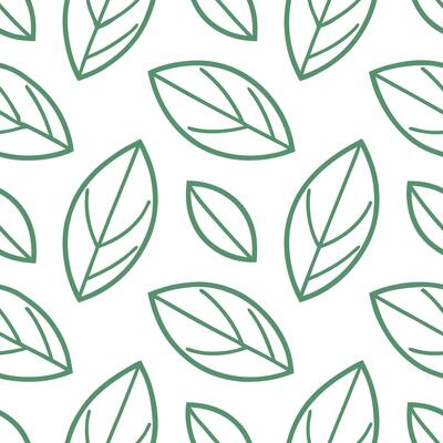 Minimalistic spring leaves seamless pattern with clean lines and soft green tones for fresh modern designs concept as Simple clean lined spring leaves pattern in soft green tones p Seamless Set